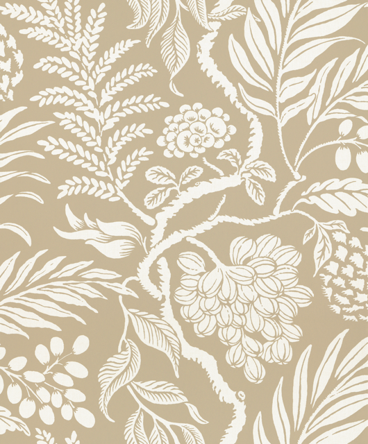 Cornucopia 21-52