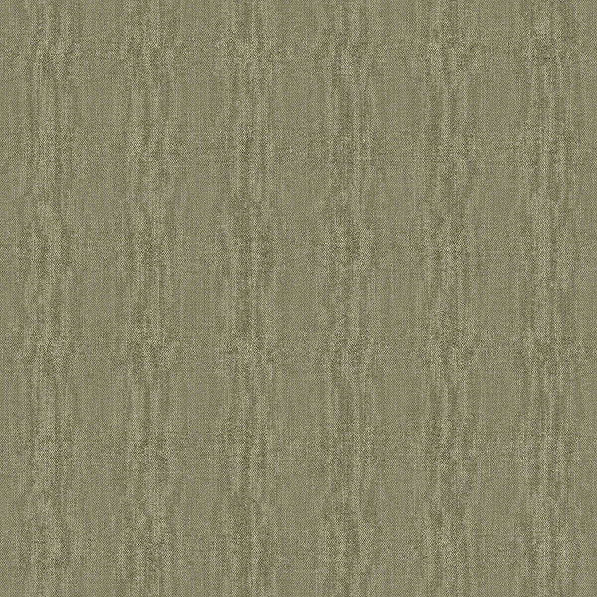 Deep Olive 4349