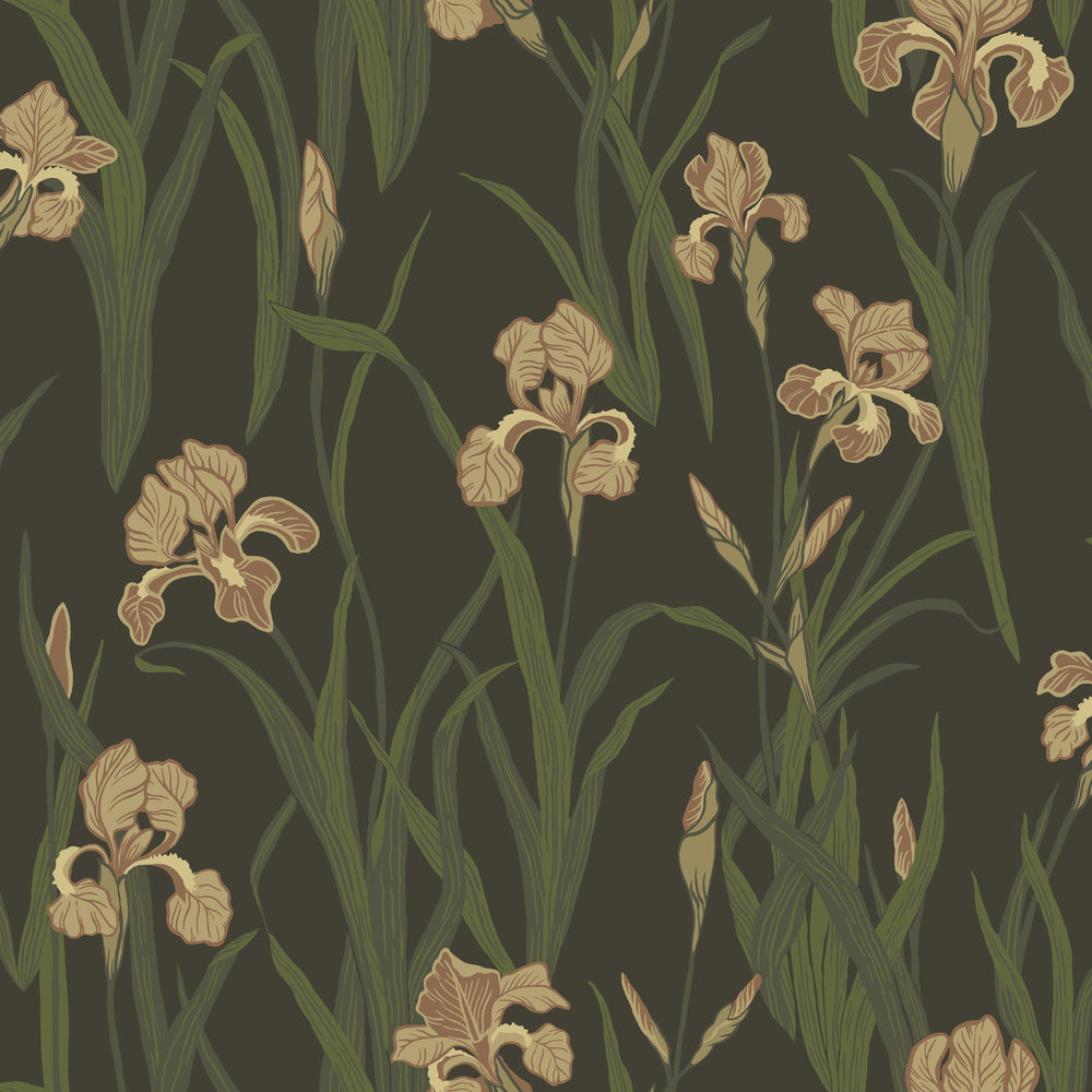 Iris 53116