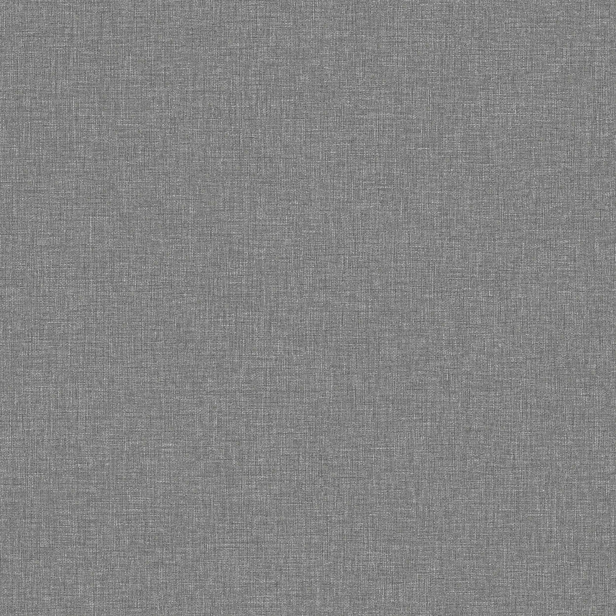 Canvas Graphite 6119