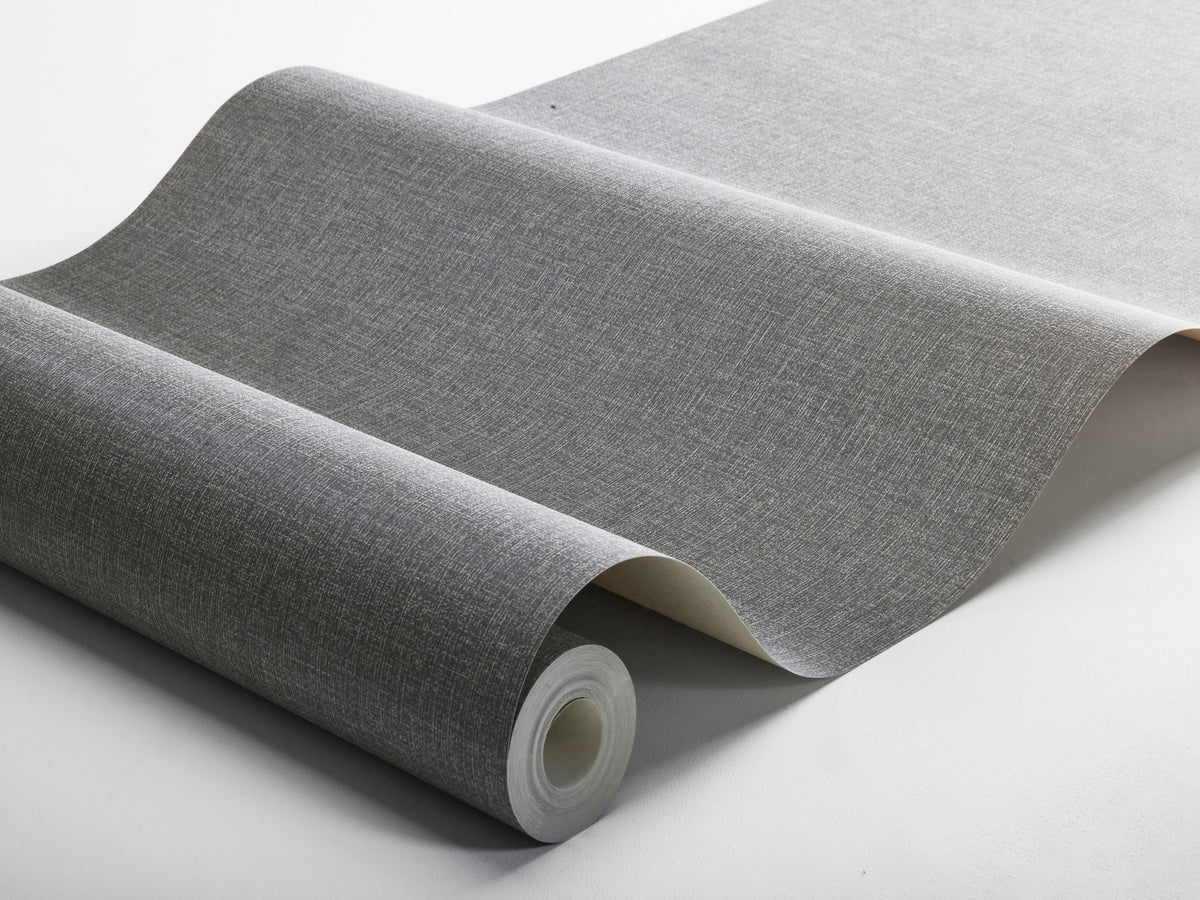 Canvas Graphite 6119