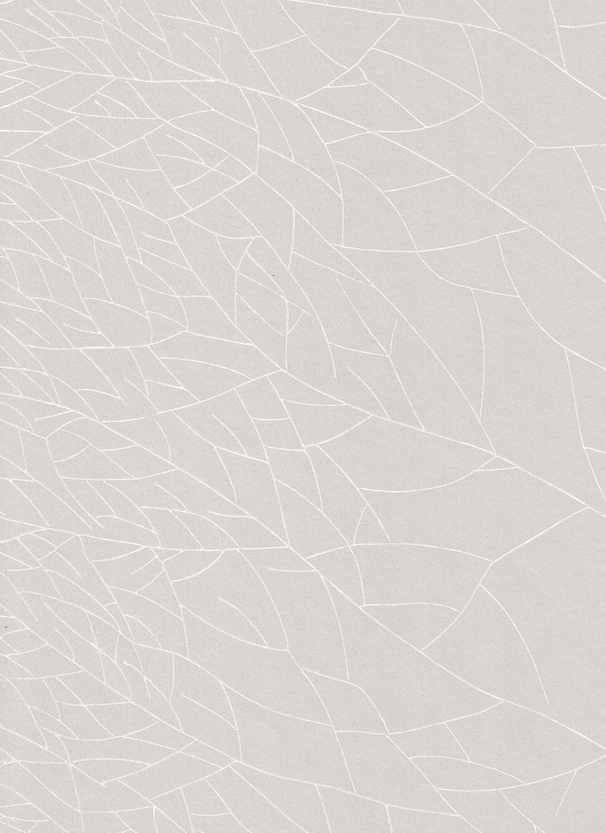Erik Bruun: Linneus 64610