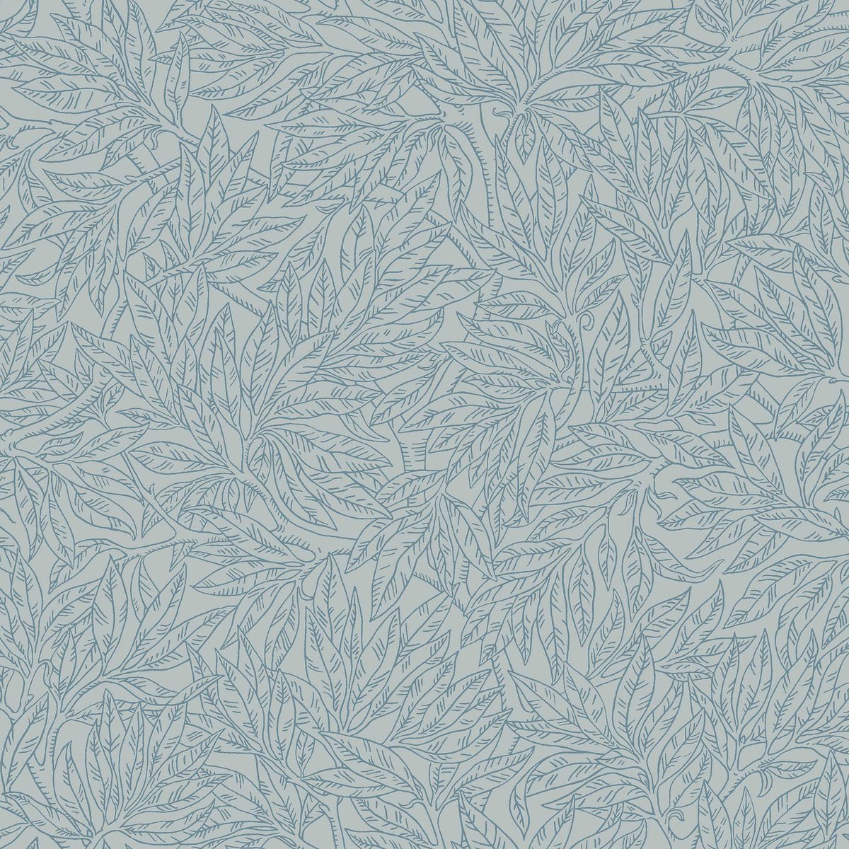 Salix Alba 7788