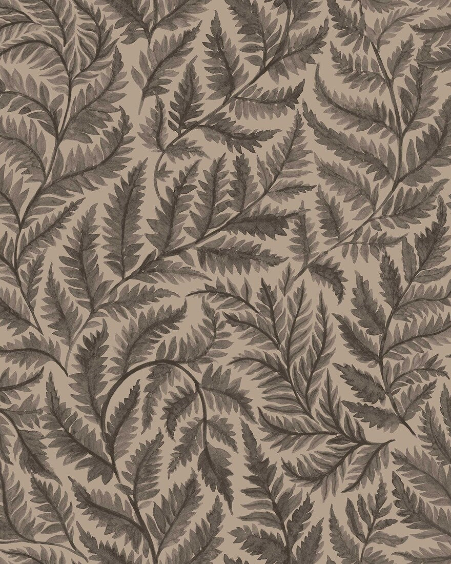 Ferns 7793