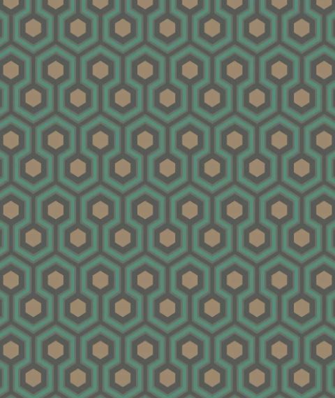 Hicks´ Hexagon 95/3018