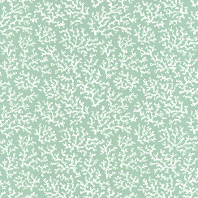 Coral 39-55