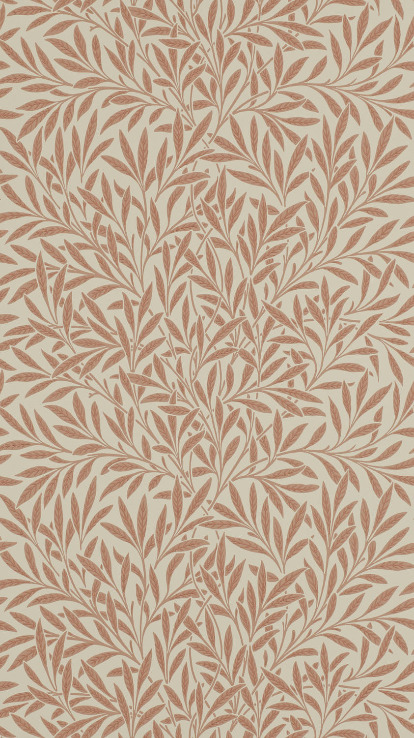 Willow 210381