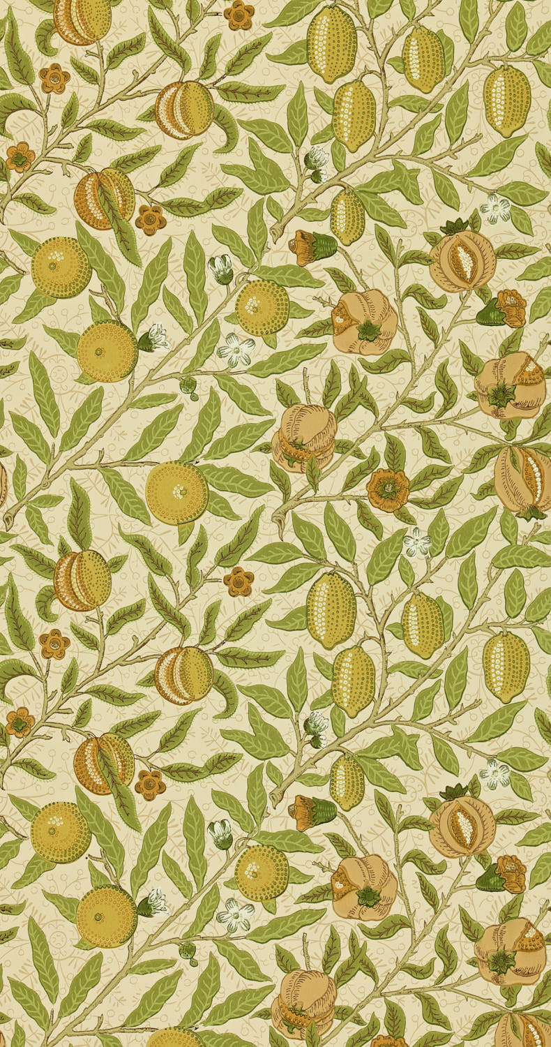 Fruit 1 DGW1FU102 (210427)