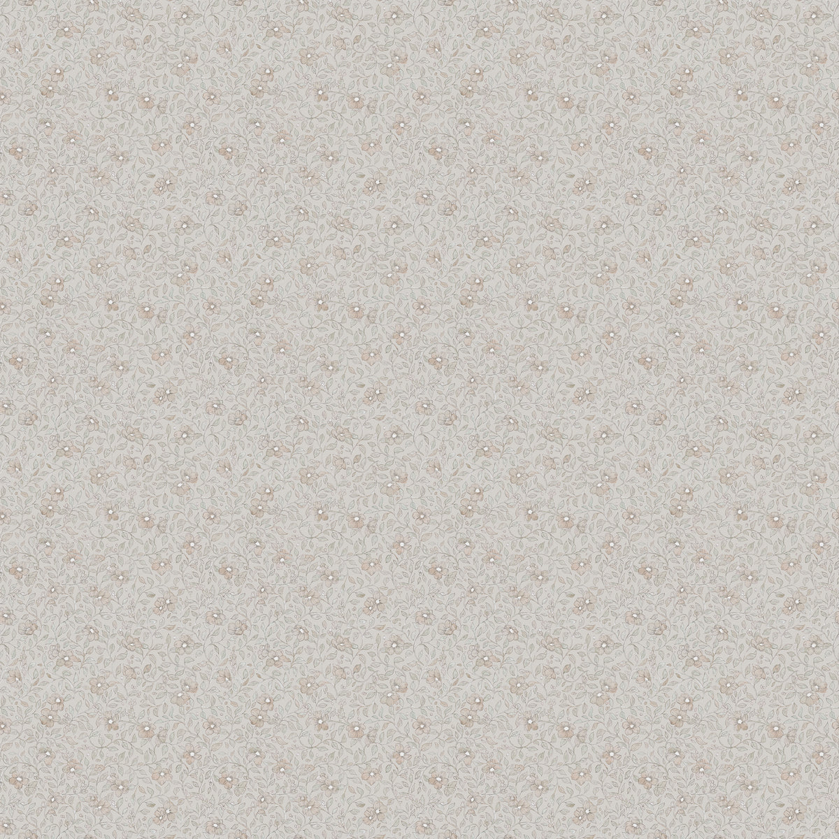 Stella S10122