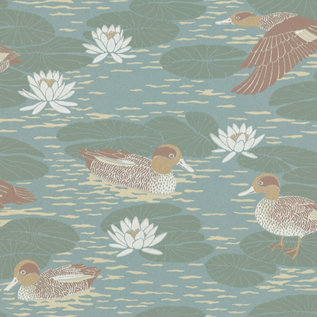 Duck Pond 18-55