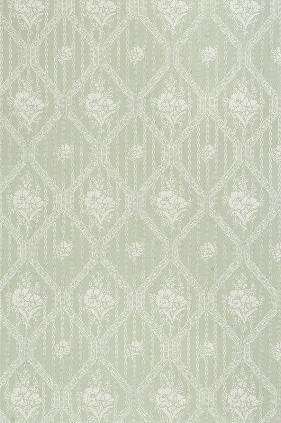 Blåklint 18-K11-56-C