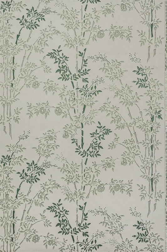 Bambu 18-X124-54-F