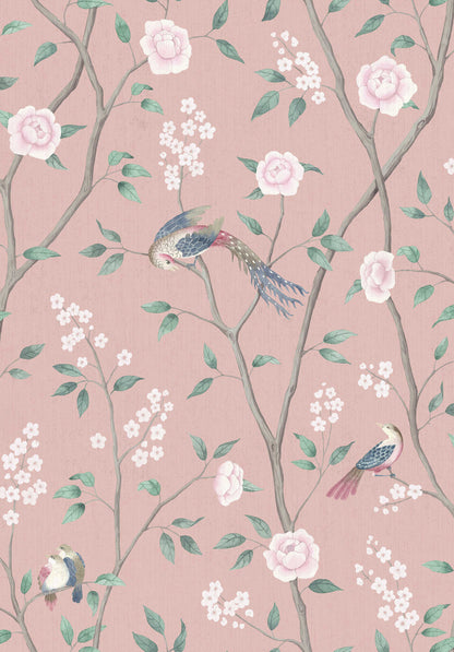 Paradise Birds 1901