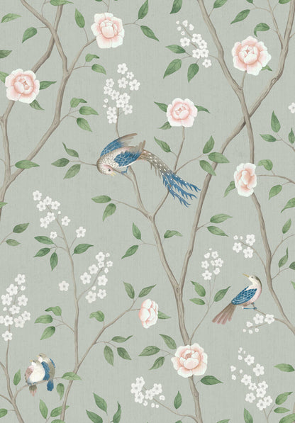 Paradise Birds 1903
