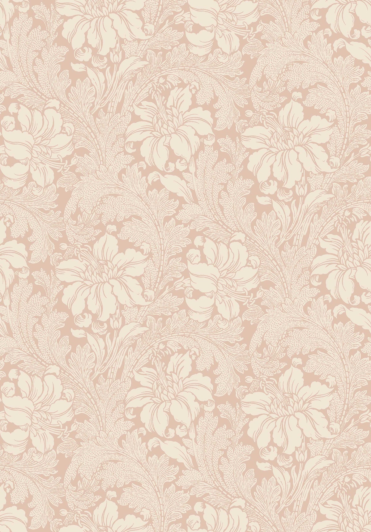 Acanthus 2009