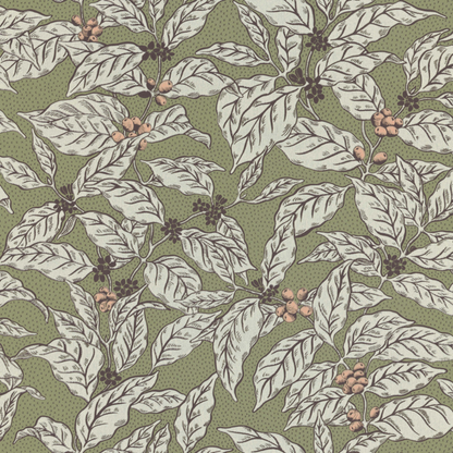 Caffeine 25-65