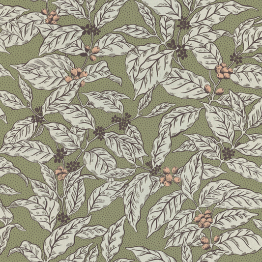 Caffeine 25-65