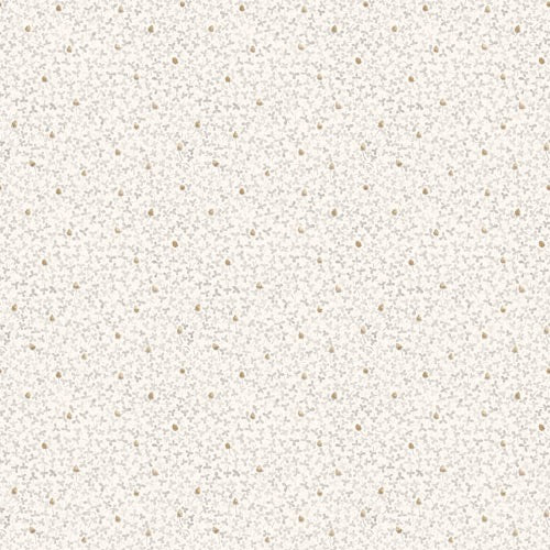 Clover 28010