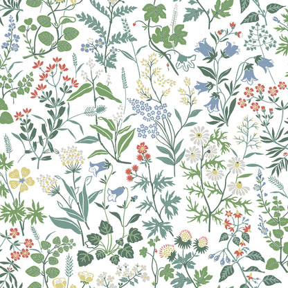 Flora 4180