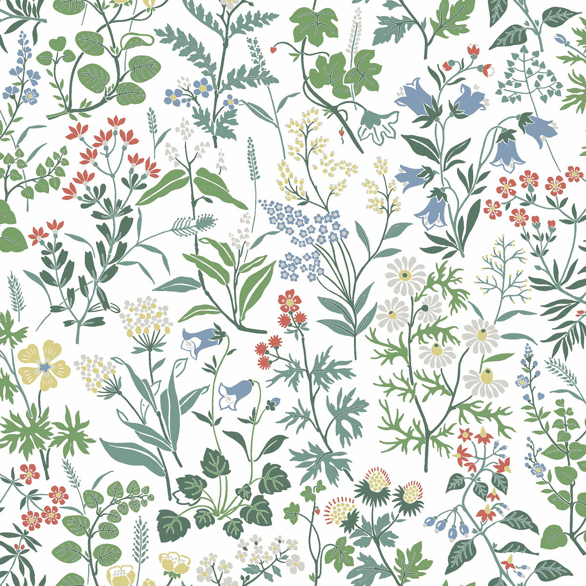 Flora 4180