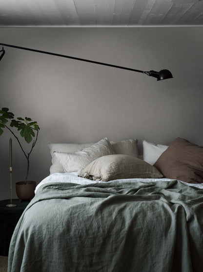 Ash Grey 4321