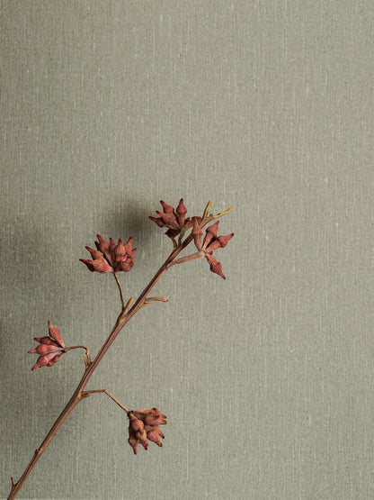 Soft Olive 4335