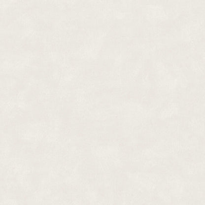 Shades Alabaster 5050