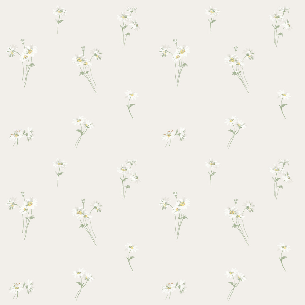 Daisy 53122