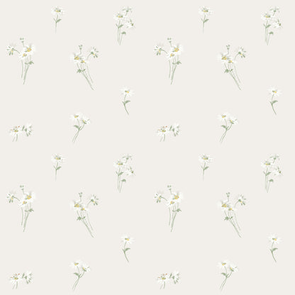 Daisy 53122