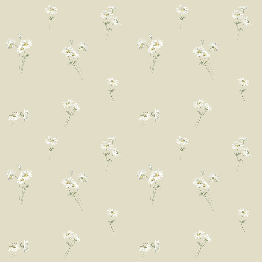Daisy 53123