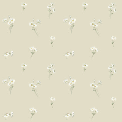 Daisy 53123
