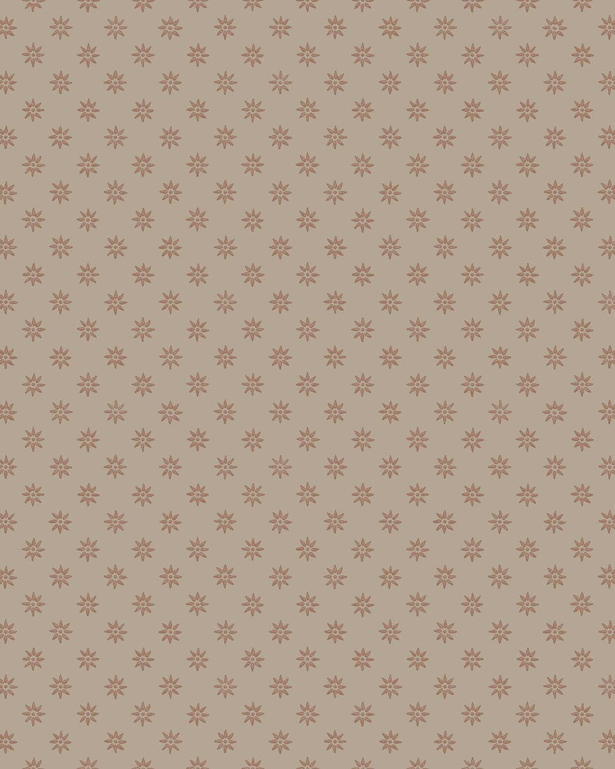 Skogsstjärna 5806
