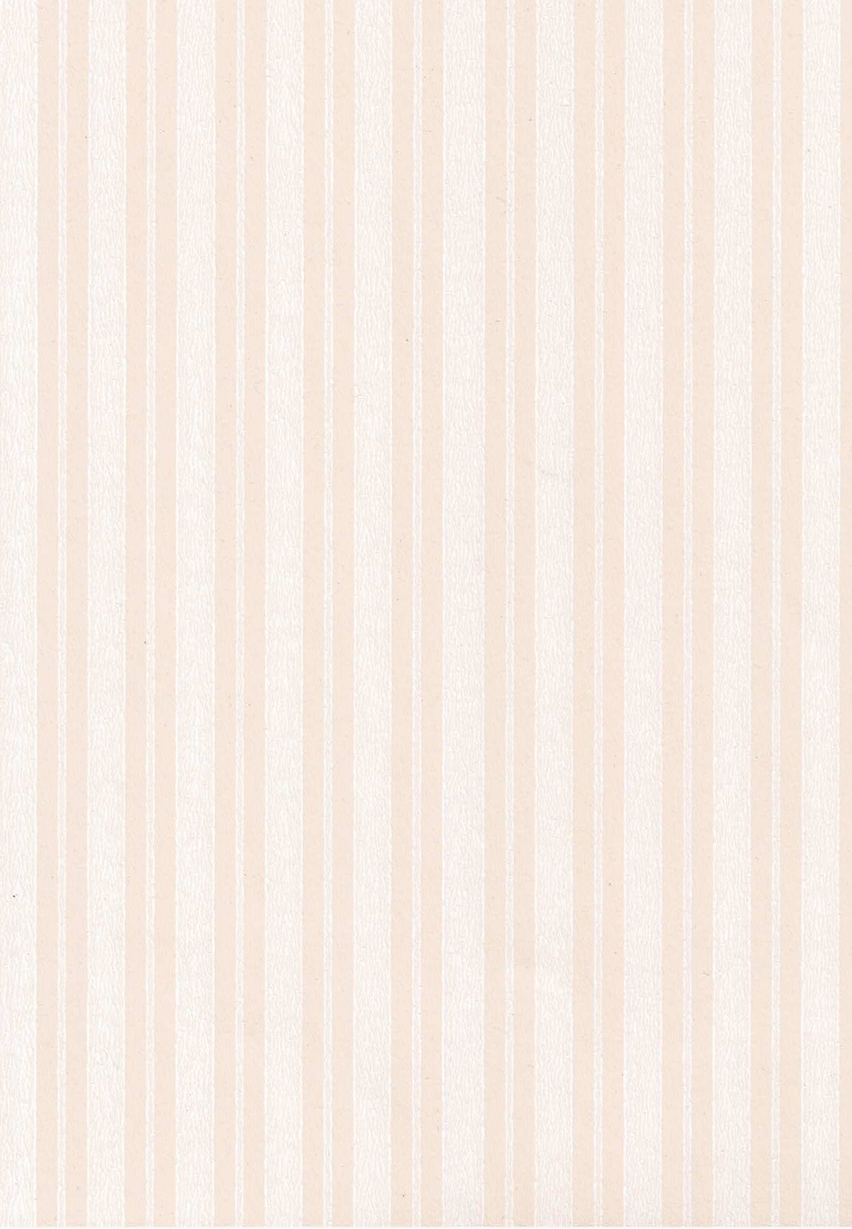 Silkkiraita  69658