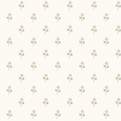 Anemone 6973