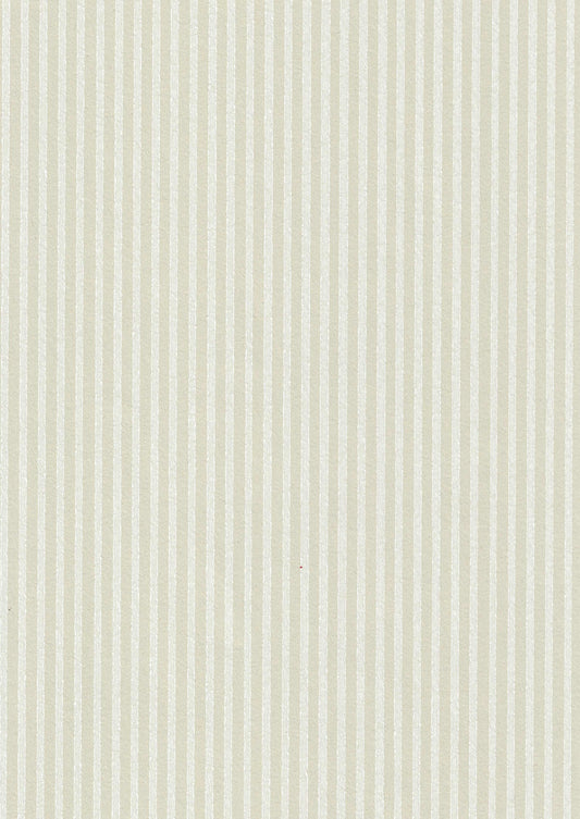 Kapea raita  69762