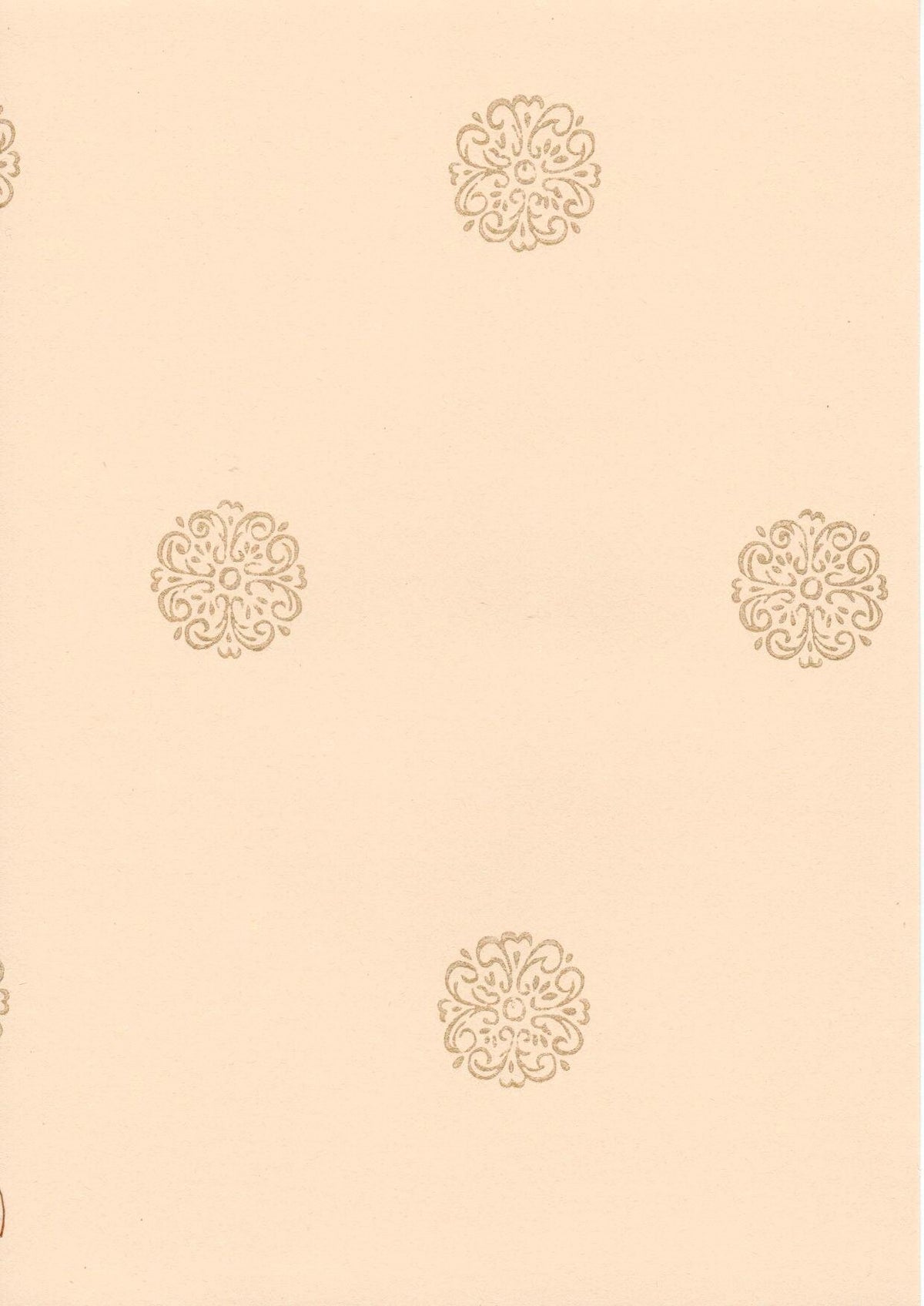 Sinetti 70047