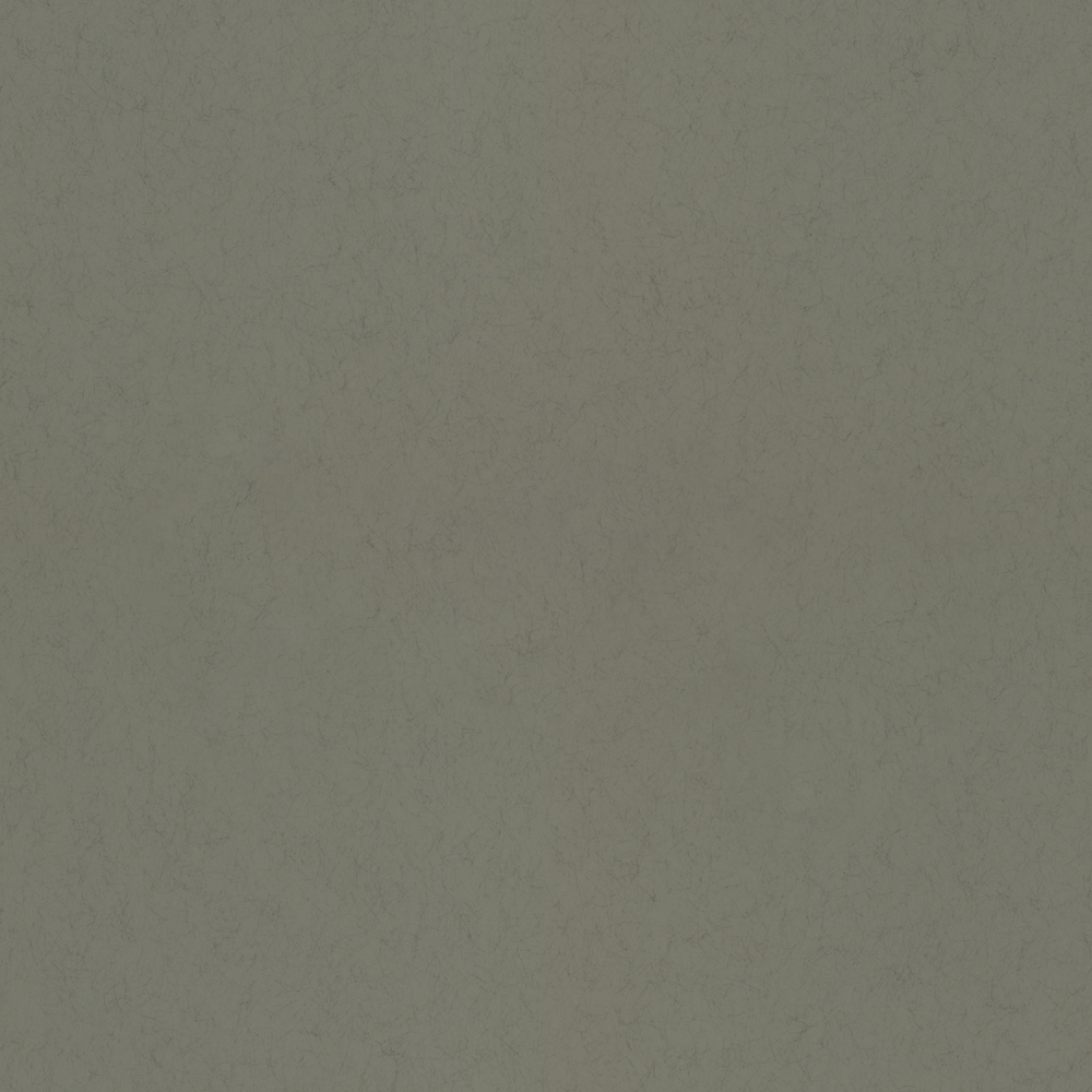 Barr 77008