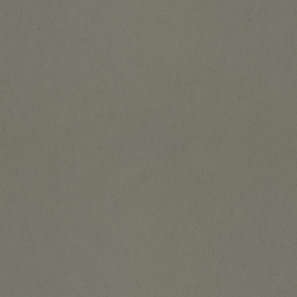 Barr 77008