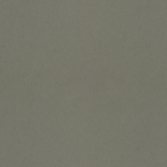 Barr 77008