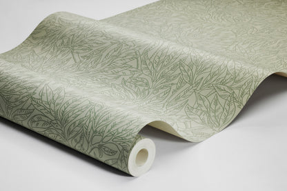 Salix Alba 7787