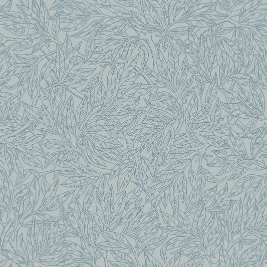 Salix Alba 7788