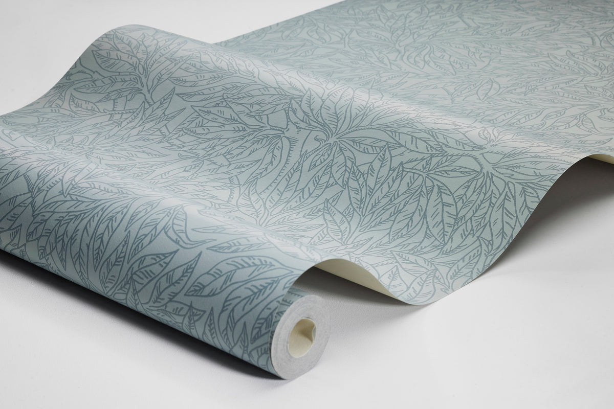 Salix Alba 7788