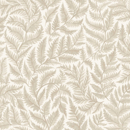 Ferns 7789
