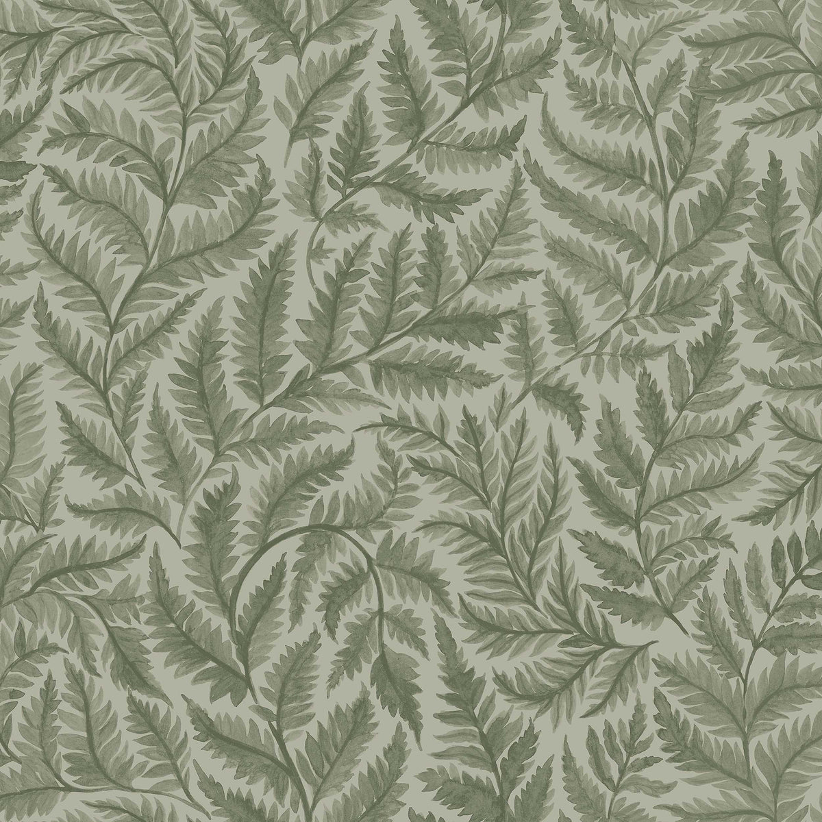 Ferns 7792