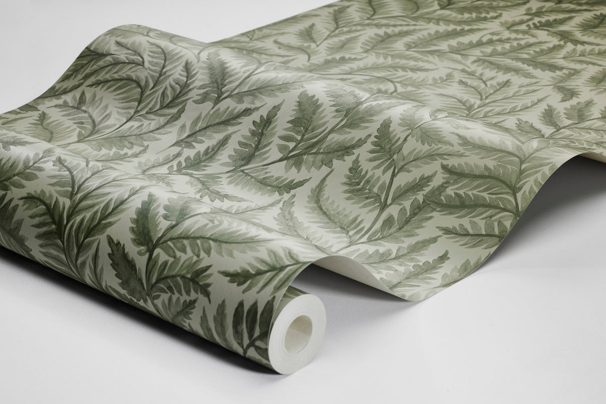 Ferns 7792