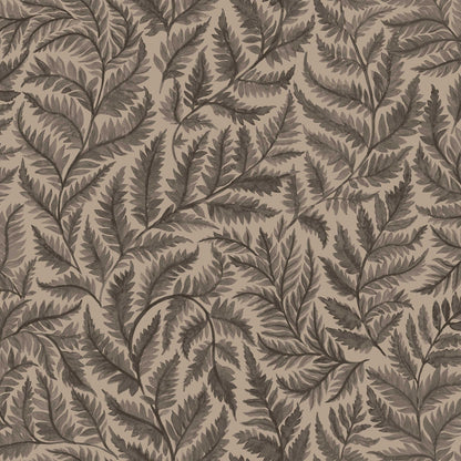 Ferns 7793