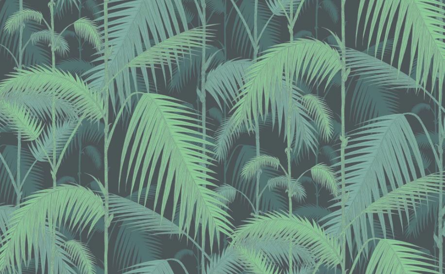 Palm Jungle  95/1003