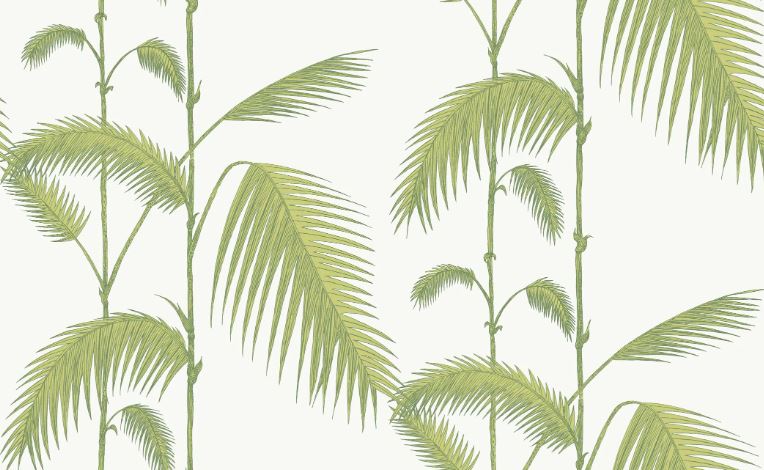 Palm  95/1009