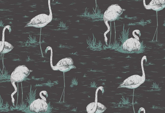Flamingos  95/8048