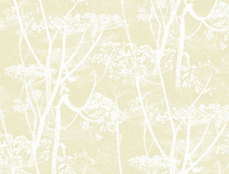 Cow Parsley  95/9053